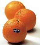 Orange de SICILE moyenne 220/330g. Naturellé non traitée.
